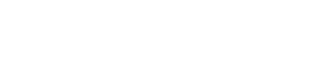 Netlogic Solutions, Inc. Connecting Logic With Technology